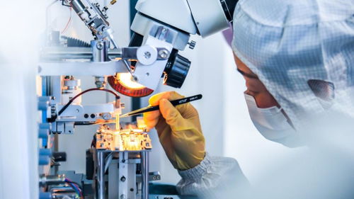 激勵(lì)更多年輕人走技能成才技能報(bào)國(guó)之路——以網(wǎng)絡(luò)科技技術(shù)開(kāi)發(fā)為例